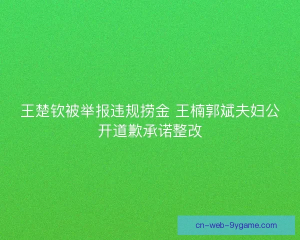 王楚钦被举报违规捞金 王楠郭斌夫妇公开道歉承诺整改